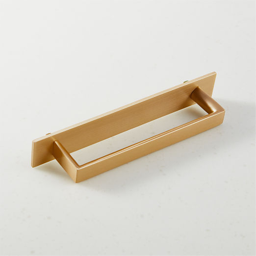 Damon Brushed Brass Handle with Back Plate 5"